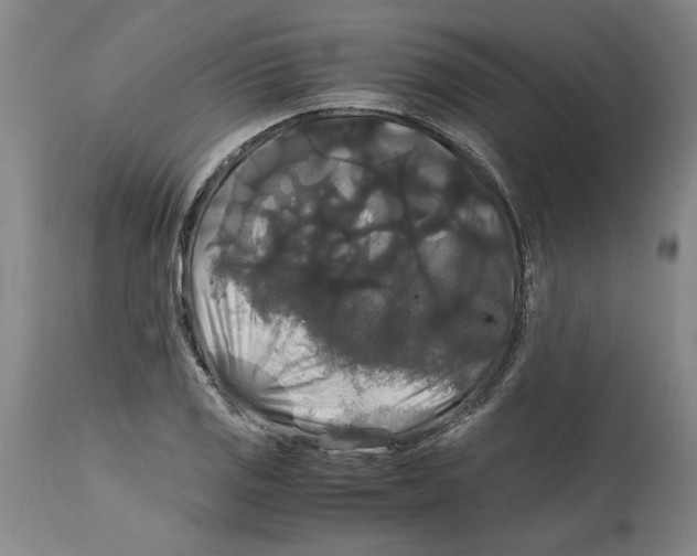 X0000114621125200911171052