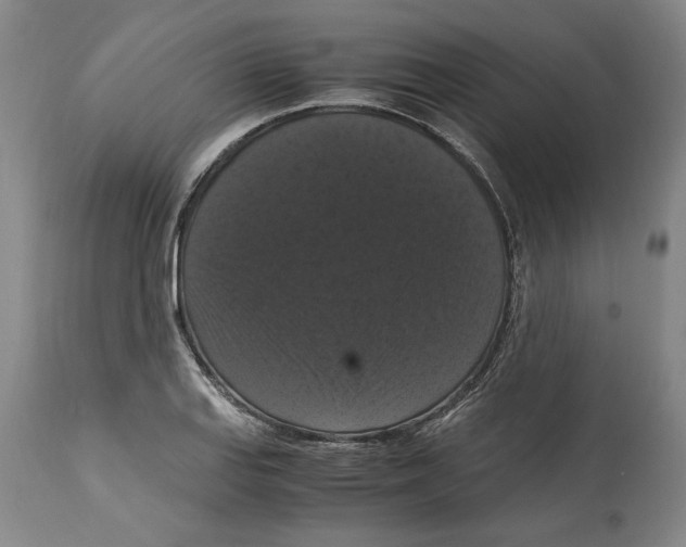 X0000114621127200911171052