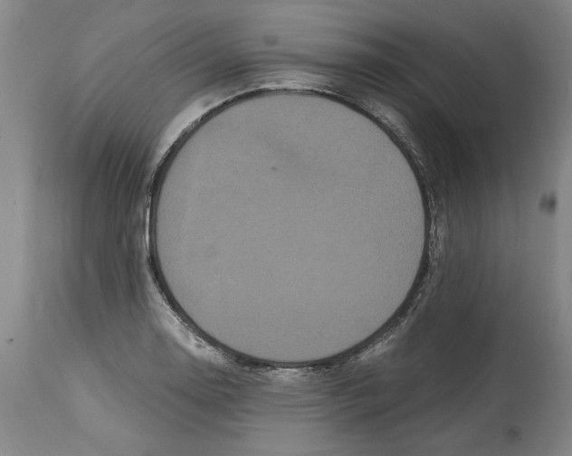 X0000114621130200911171052