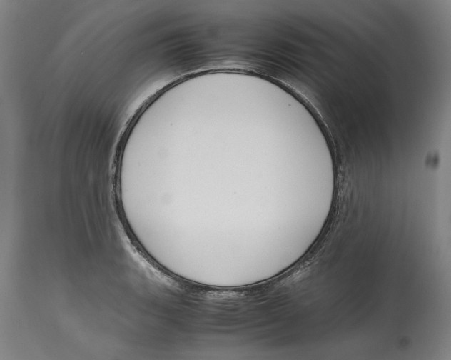 X0000114621135200911171052