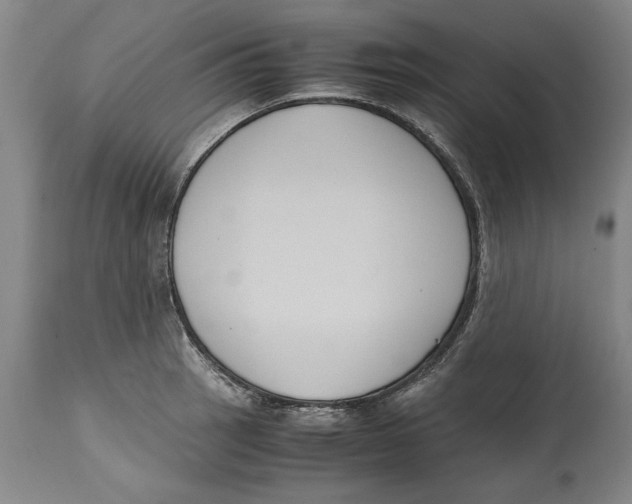 X0000114621137200911171052