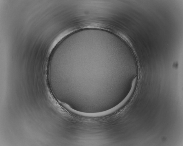 X0000114621138200911171052