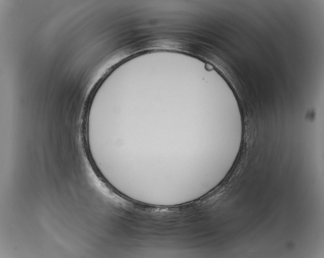 X0000114621139200911171052
