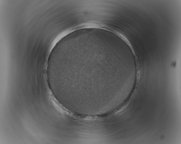 X0000114621146200911171052