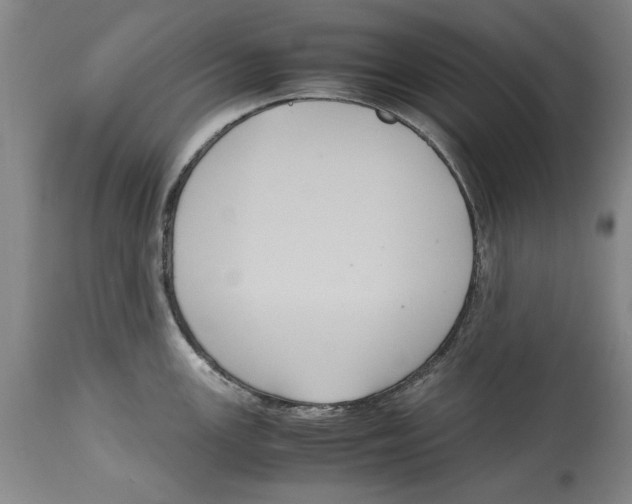 X0000114621147200911171052