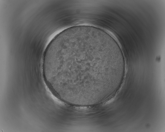 X0000114621149200911171052