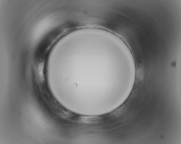 X0000114621150200911171052