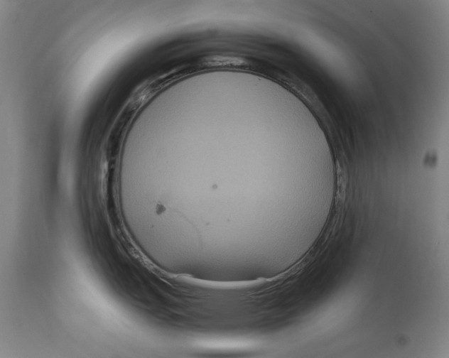 X0000114621151200911171052
