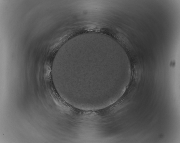 X0000114621154200911171051