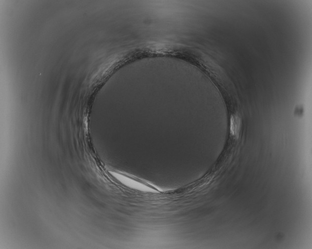 X0000114621155200911171051