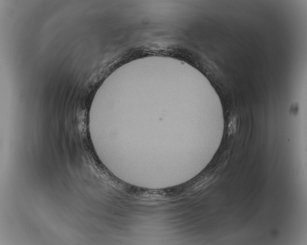 X0000114621156200911171051