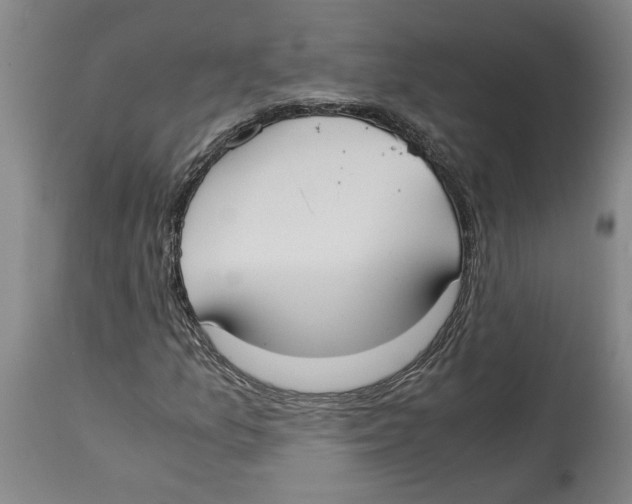 X0000114621157200911171051