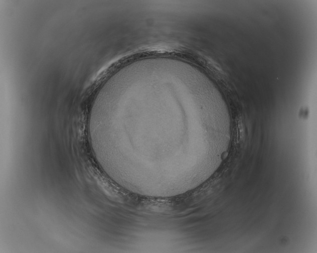 X0000114621158200911171051