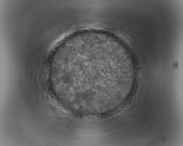 X0000114621159200911171051