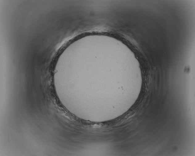 X0000114621160200911171051