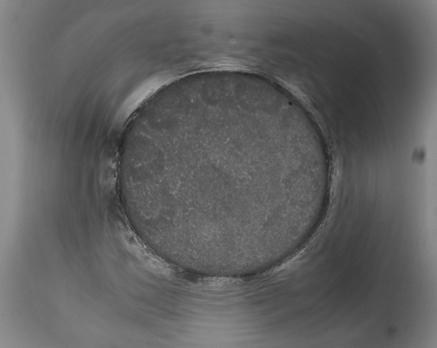 X0000114621163200911171051
