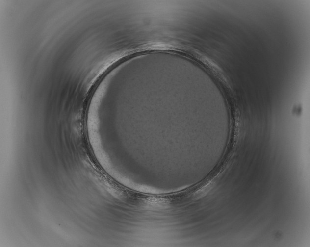 X0000114621170200911171051