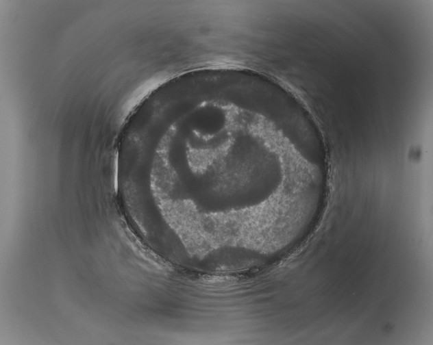X0000114621171200911171051