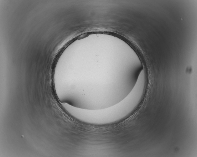 X0000114621173200911171051