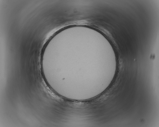 X0000114621176200911171051