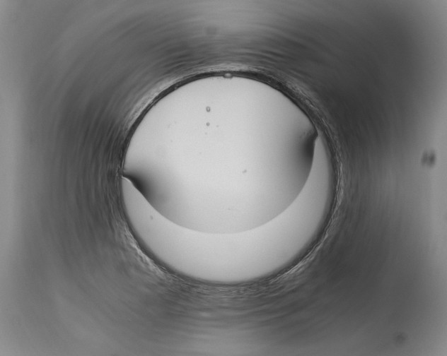 X0000114621177200911171051