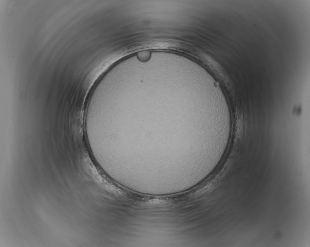 X0000114621178200911171051