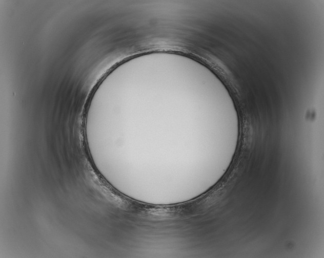 X0000114621182200911171051