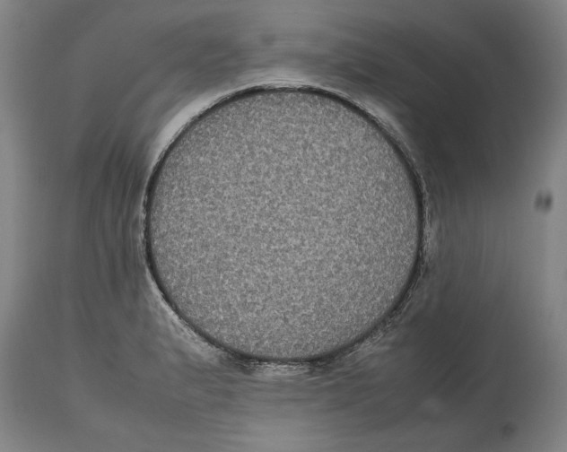 X0000114621183200911171051