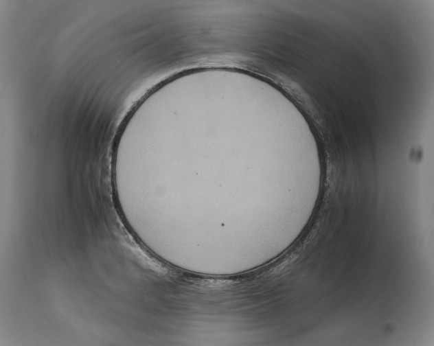 X0000114621184200911171051