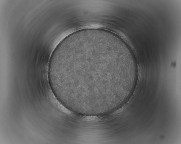 X0000114621186200911171051