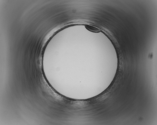 X0000114621188200911171051