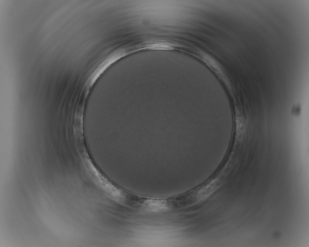 X0000114621194200911171051
