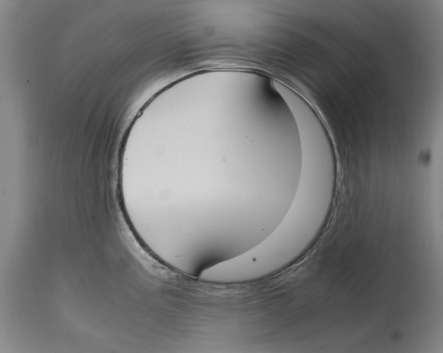 X0000114621195200911171051