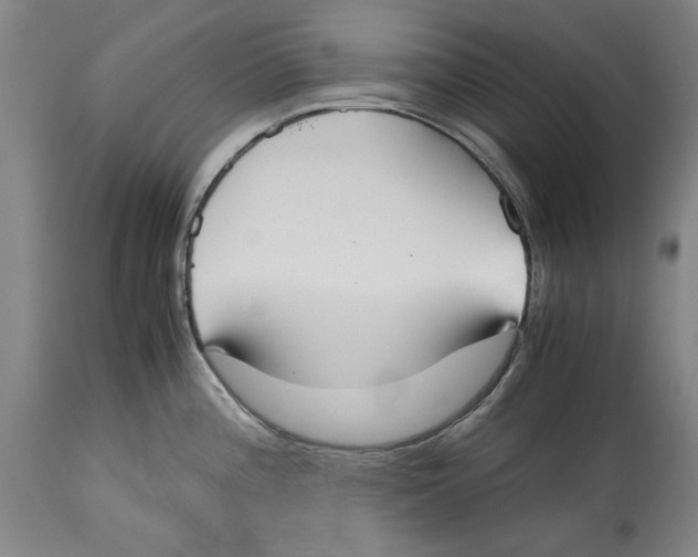 X0000114621196200911171051