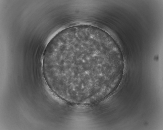 X0000114621198200911171051