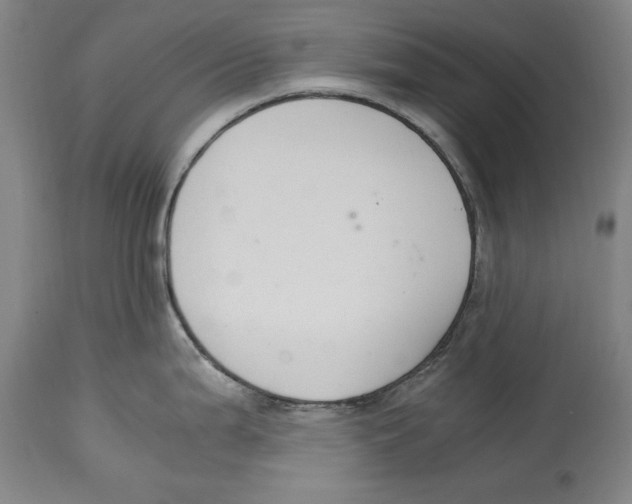 X0000114621199200911171051