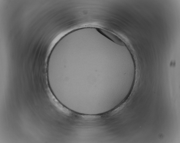 X0000114621200200911171051