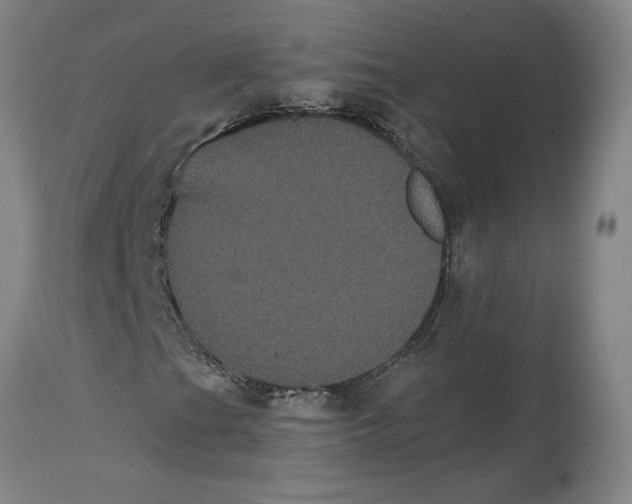 X0000114621201200911171050