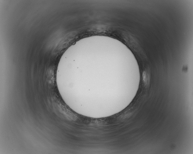 X0000114621203200911171050