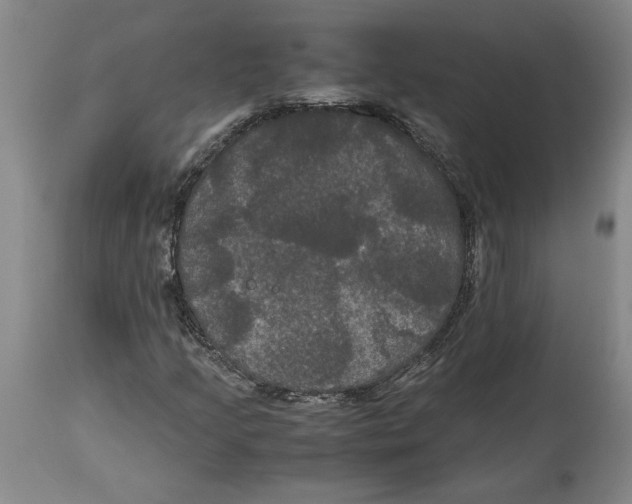 X0000114621205200911171050