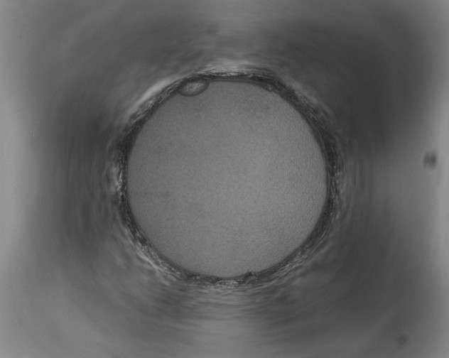 X0000114621206200911171050