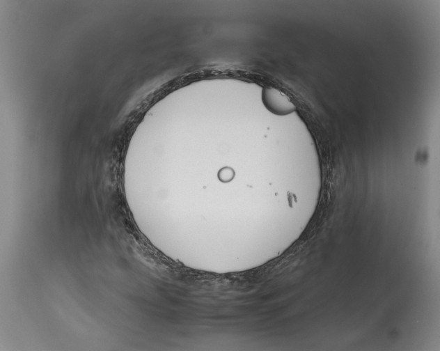 X0000114621207200911171050