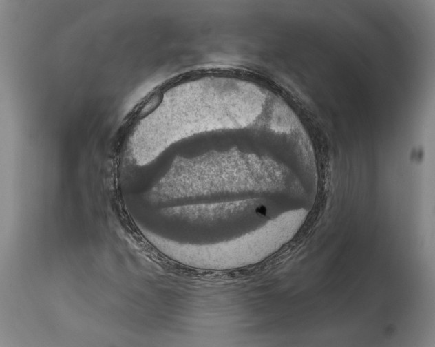 X0000114621208200911171050