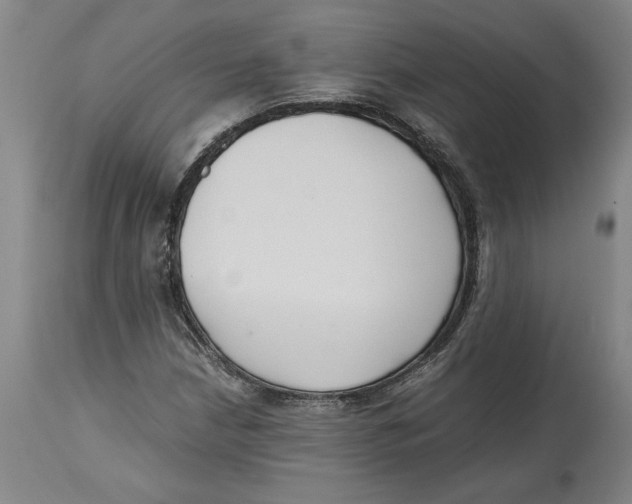 X0000114621210200911171050