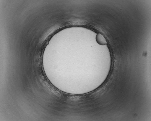 X0000114621211200911171050