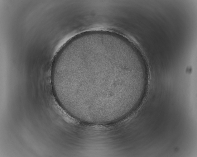 X0000114621216200911171050