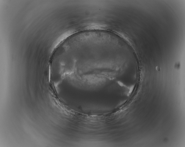 X0000114621219200911171050