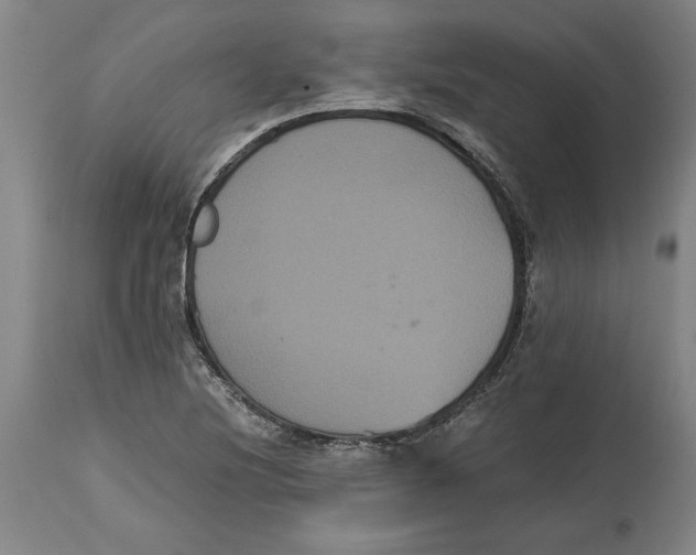 X0000114621220200911171050