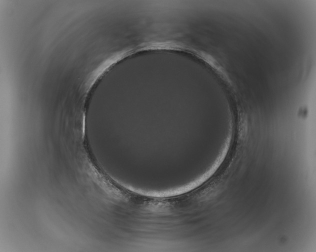 X0000114621221200911171050