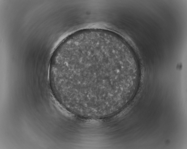 X0000114621224200911171050